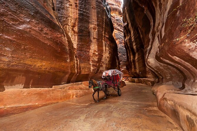 1 Day Tour to Petra From Eilat - Who should choose this Petra day trip?