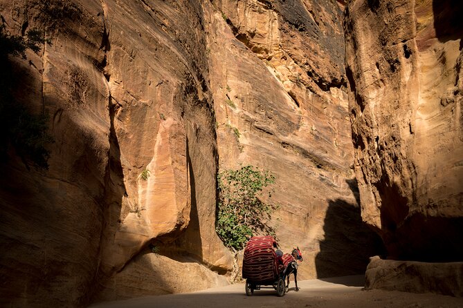3-Day Petra and Wadi Rum Tour from Jerusalem - Wadi Rum by jeep changes the pace