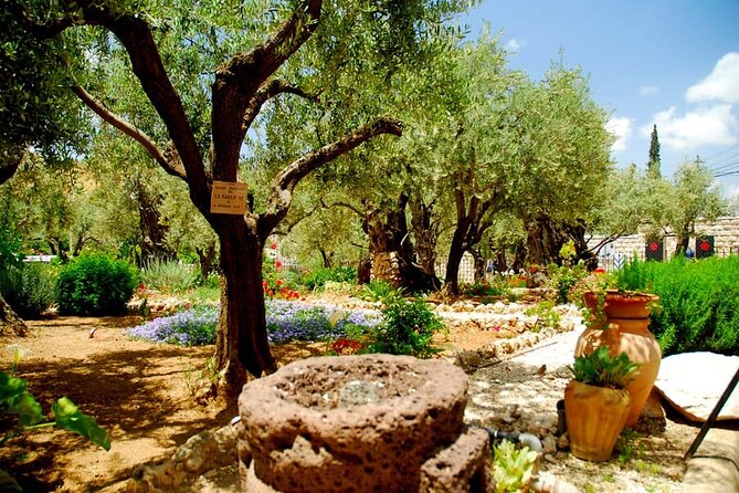 4-Day Christian Tour from Tel Aviv: Jerusalem, Jericho, Bethlehem and Nazareth - Day four: Nazareth, Capernaum and baptism at Yardenit
