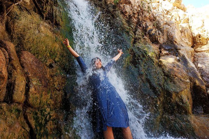 4WD Masada Ein Gedi Judea desert Dead Sea adventure 4x4 Tour. - Ein Gedi’s shaded oasis and waterfalls