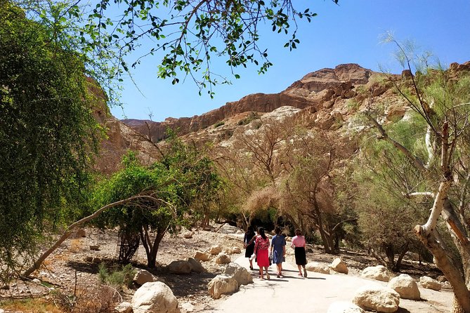 4WD Masada Ein Gedi Judea desert Dead Sea adventure 4x4 Tour. - What the private 4WD format adds