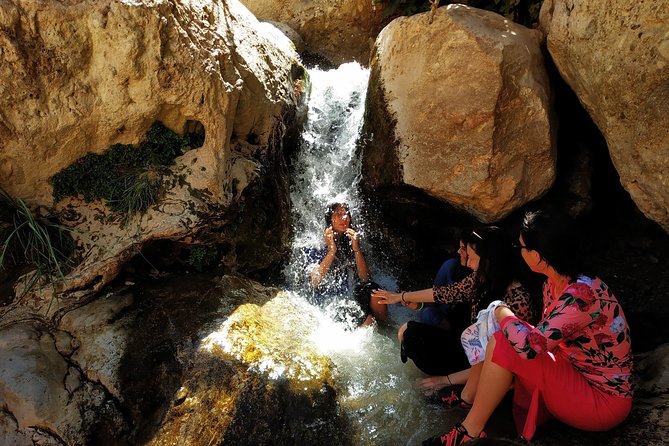 4WD Masada Ein Gedi Judea desert Dead Sea adventure 4x4 Tour. - Dead Sea water, mud, and springs