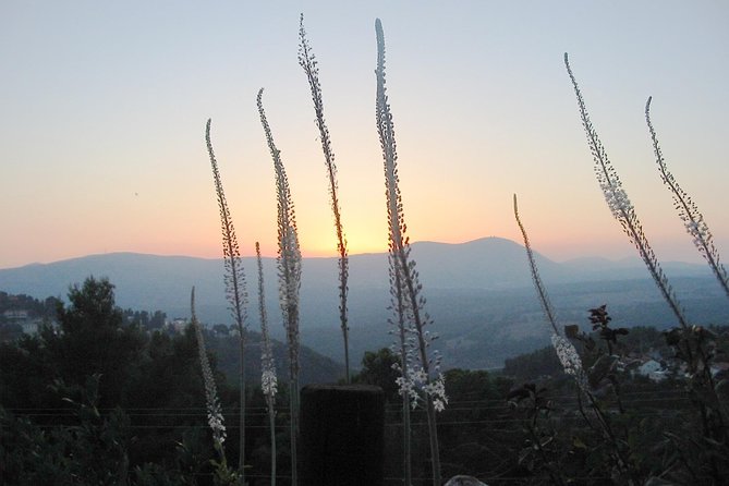 A Day of Spiritual Discovery in the Upper Galilee - The Sephardic Synagogue of the Ari