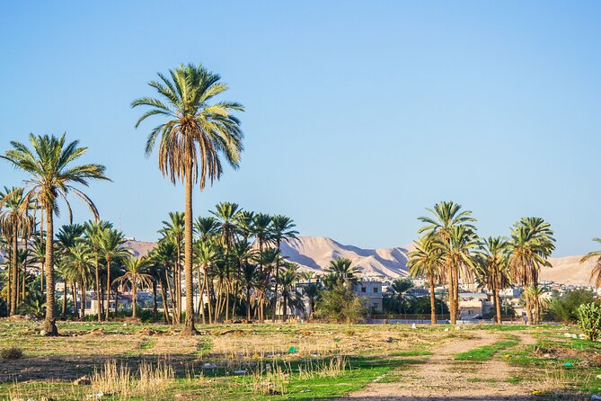 Bethlehem, Jericho & Jordan River Tour from Tel Aviv - What the $119 price really covers