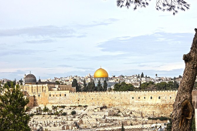 Day Tour of Jerusalem and Bethlehem from Jerusalem - The Cardo shows Roman and Byzantine Jerusalem