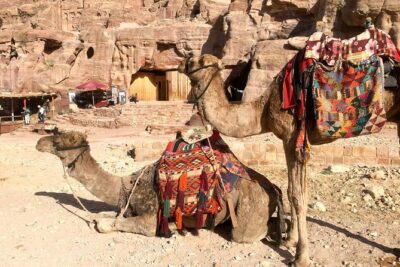 Day Tour to Petra by Bus from Tel Aviv
