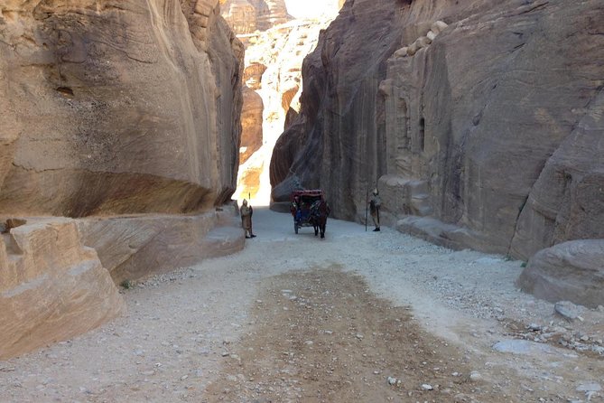 Day Tour to Petra by Bus from Tel Aviv - The long road back to Tel Aviv