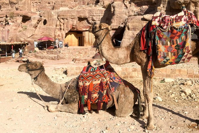 Day Tour to Petra from Eilat - Lunch, viewpoints, and the return route