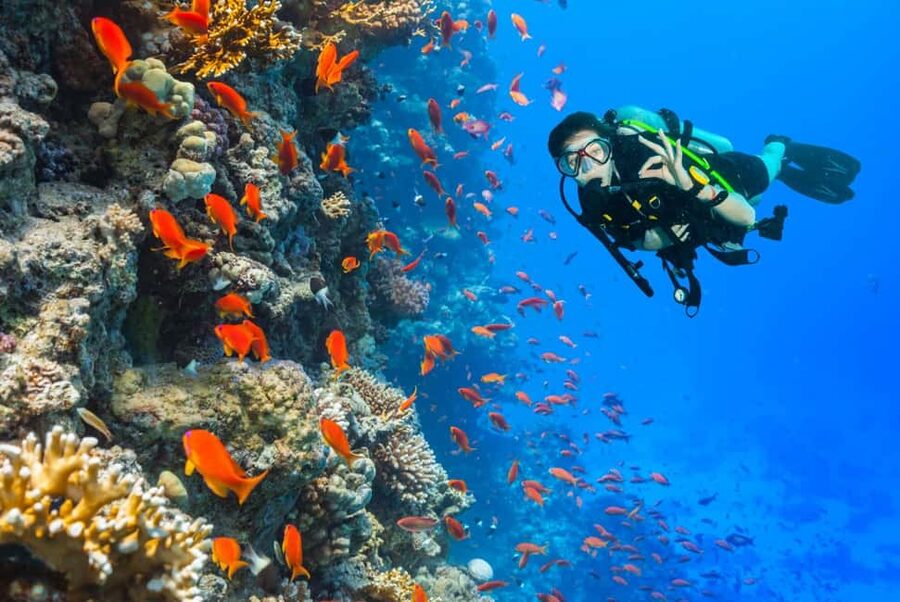 Eilat: Intro to Diving with Certified Instructor - Who will get the most from this activity?