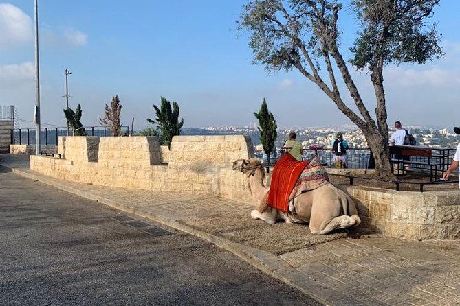 Explore Jerusalem's Old City - The Muslim Quarter reveals daily life beyond the monuments