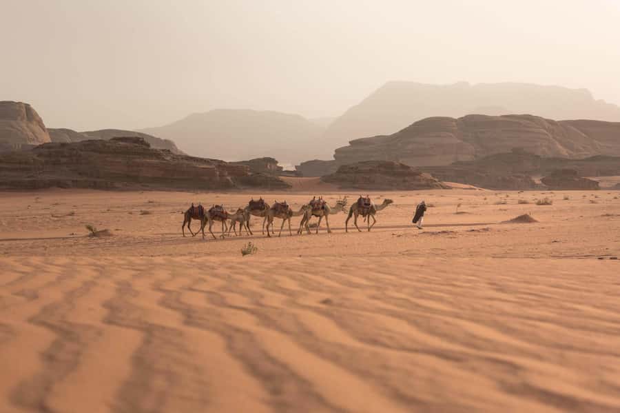 From Eilat, Jerusalem, Tel Aviv: Petra & Wadi Rum 3-Day Tour - Starting from Jerusalem, Tel Aviv, or Eilat