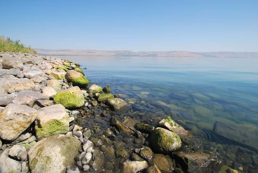 From Haifa: Guided Day Trip to Nazareth and Sea of Galilee - St. Joseph’s Church and Mary’s Well