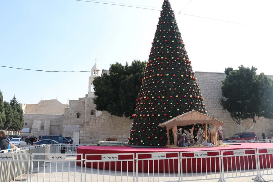 From Jerusalem: Half-Day Bethlehem Guided Tour - Shepherds’ Fields in Beit Sahour