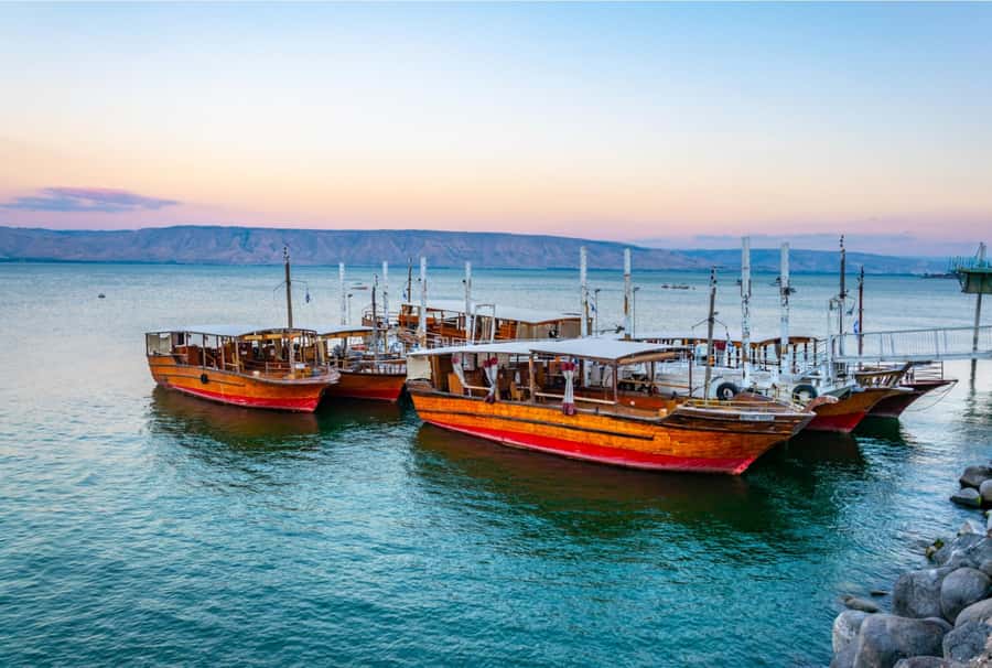 From Jerusalem: Jordan River, Nazareth & Sea of Galilee Tour - The Sea of Galilee and the Church of the Multiplication
