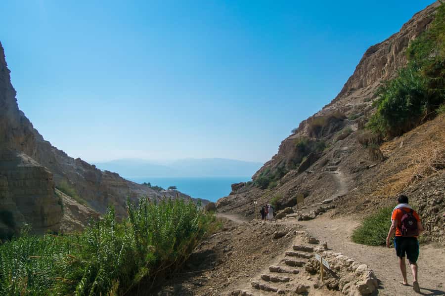 From Jerusalem: Masada at Sunrise, Ein Gedi & Dead Sea Tour - Fitness, weather, and what to pack