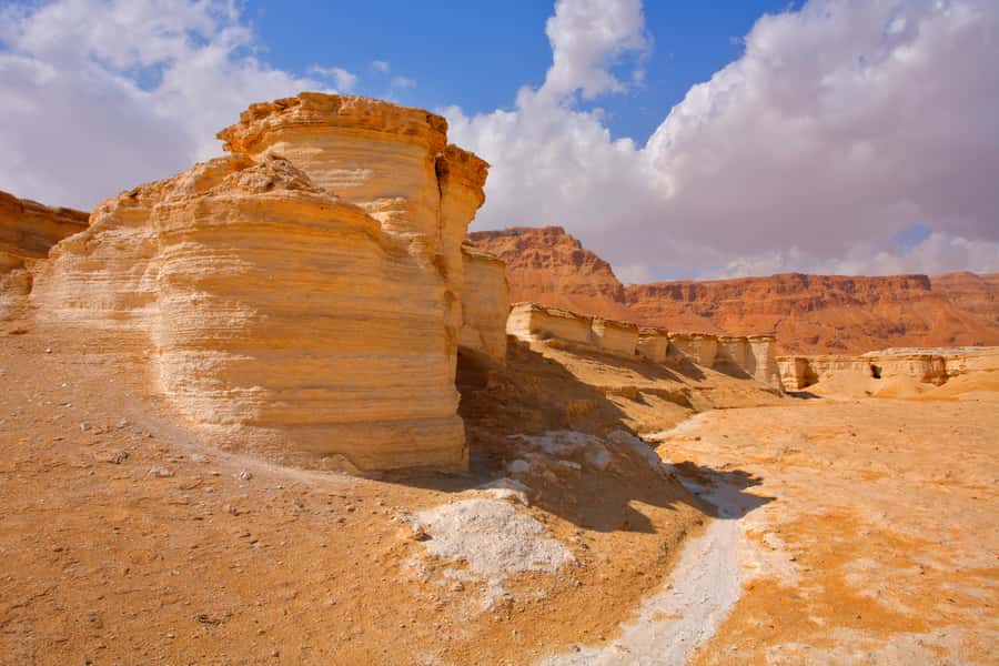 From Jerusalem: Masada & Dead Sea Full Day Tour with Pick Up - How the guide affects the whole day
