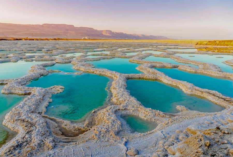 From Jerusalem: Masada&Dead Sea Tour INCLUDING ENTRANCE FEES - Why Masada and the Dead Sea belong on the same day