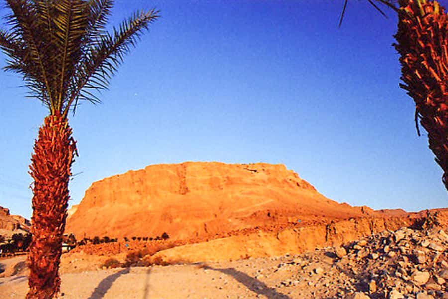 From Jerusalem: Masada&Dead Sea Tour INCLUDING ENTRANCE FEES - What you will see on Masada