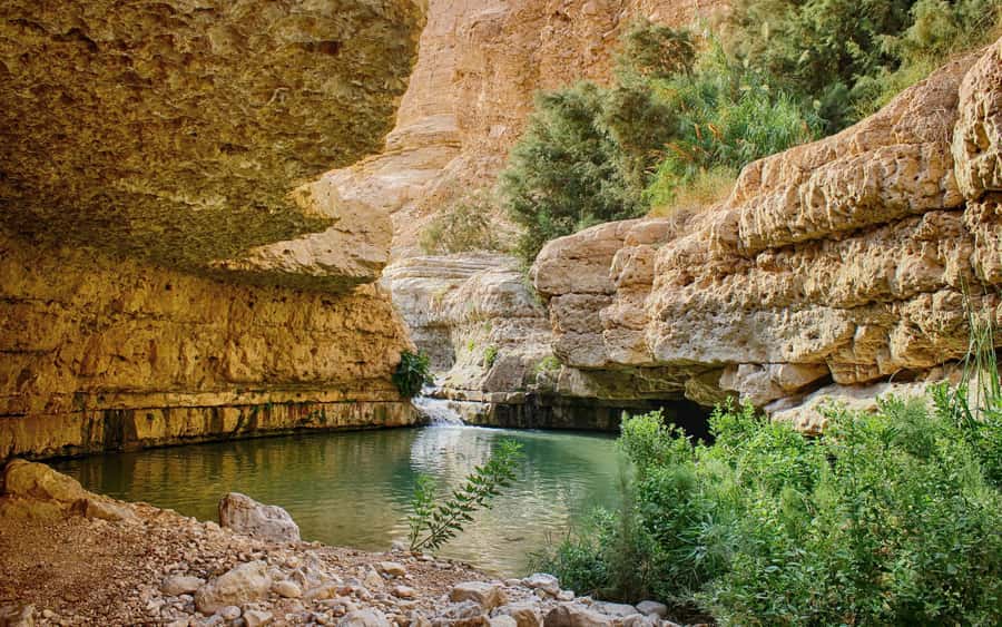 From Jerusalem: Masada Sunrise, Ein Gedi & Dead Sea Day Trip - The 3:00 AM start from Jerusalem