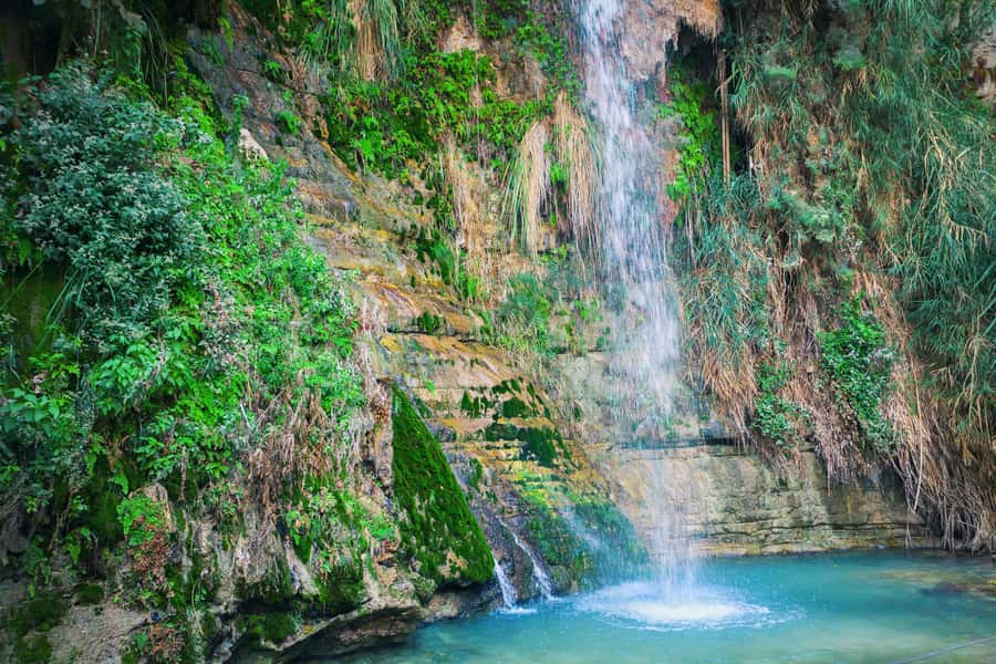 From Jerusalem: Masada Sunrise, Ein Gedi & Dead Sea Day Trip - What the $89 price really covers