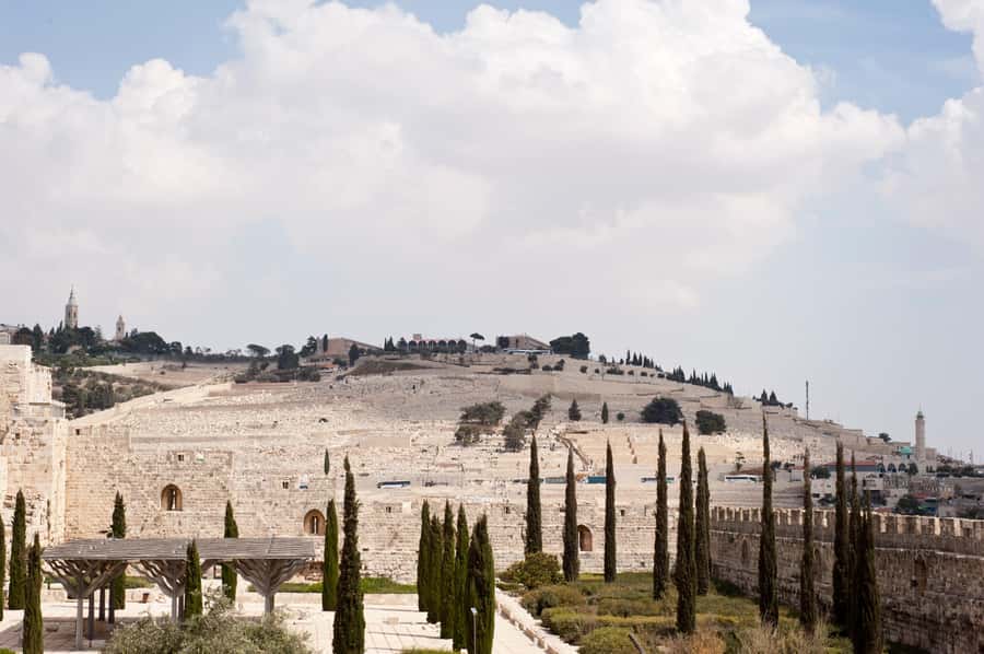 From Jerusalem: Old City & Dead Sea Full-Day Tour - Via Dolorosa and the Church of the Holy Sepulcher