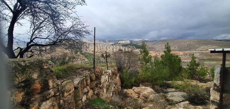 From Jerusalem/Tel Aviv: Bethlehem and Dead Sea Day Tour - Across the Judean Desert to the Dead Sea