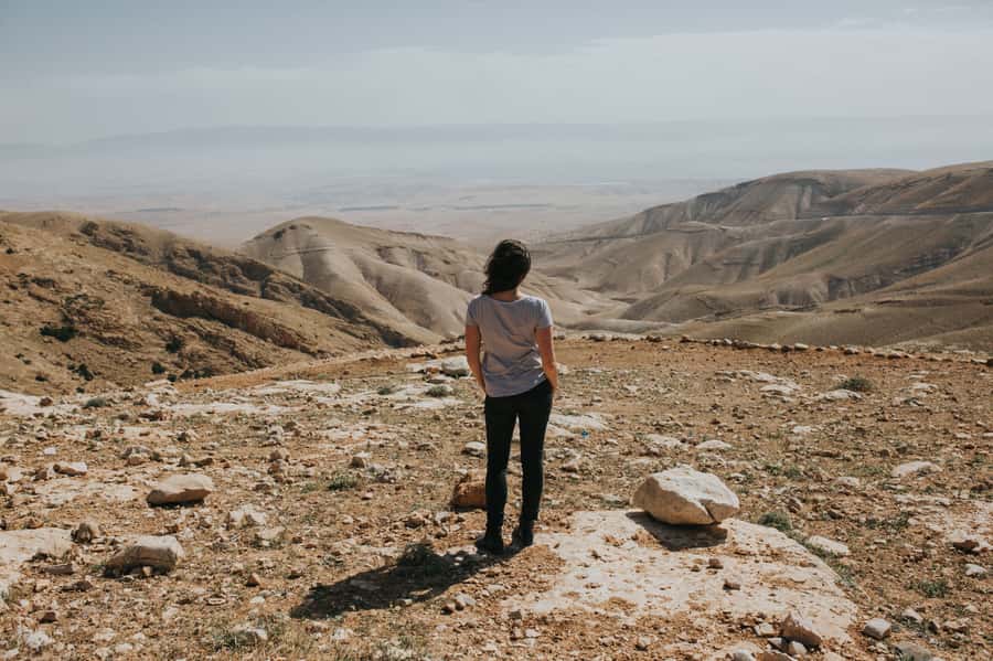 From Jerusalem: West Bank Day Tour - A full West Bank day from Jerusalem