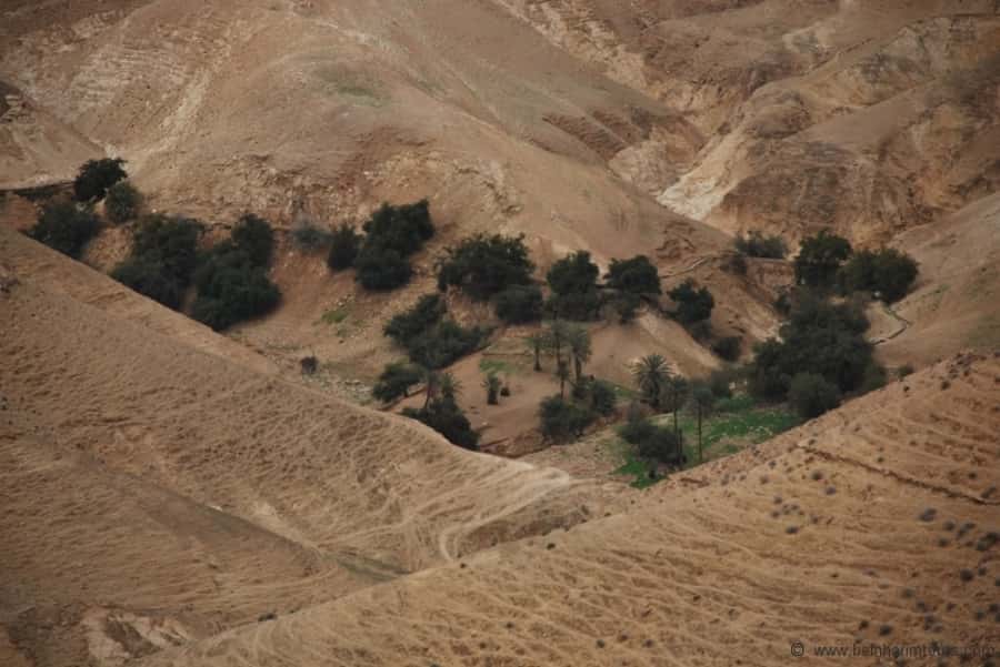From Tel Aviv: Dead Sea Visit & Desert Safari - From Tel Aviv into the Judean Desert