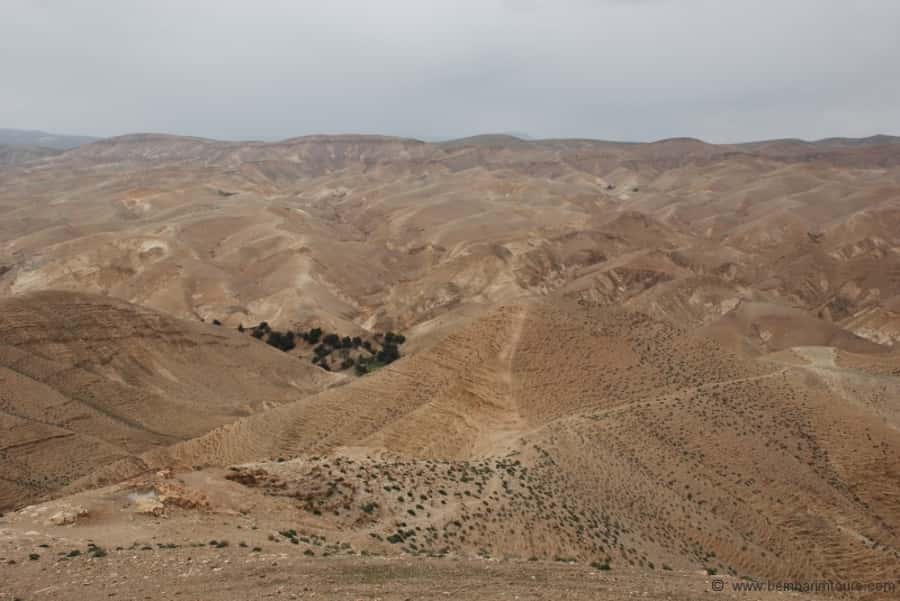 From Tel Aviv: Dead Sea Visit & Desert Safari - Qumran and the caves of the Dead Sea Scrolls