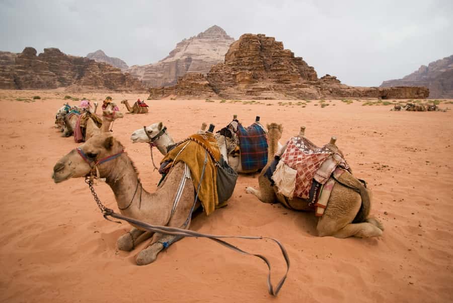 From Tel Aviv: Dead Sea Visit & Desert Safari - The Inn of the Good Samaritan and Jericho views