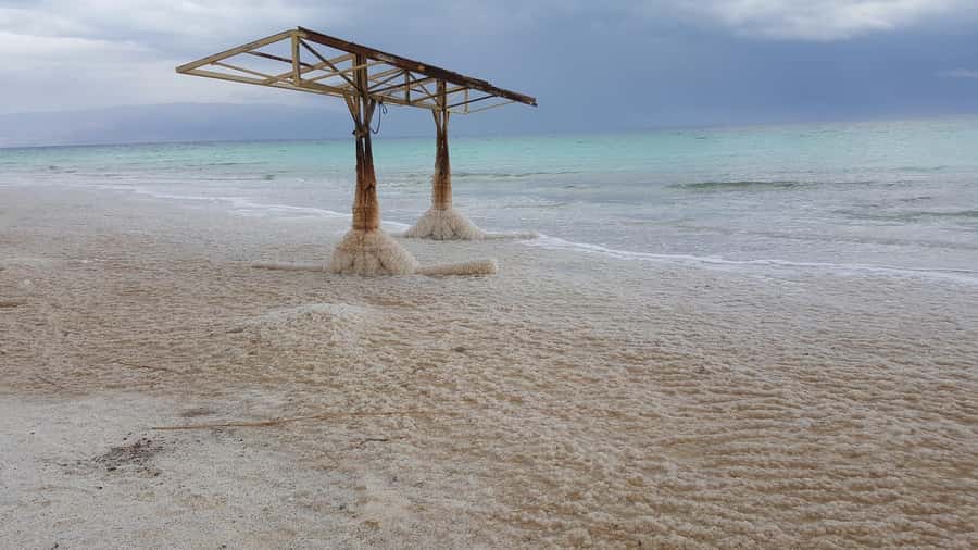 From Tel Aviv: Full-Day Dead Sea Relaxation Tour - Qumran and the Dead Sea Scrolls