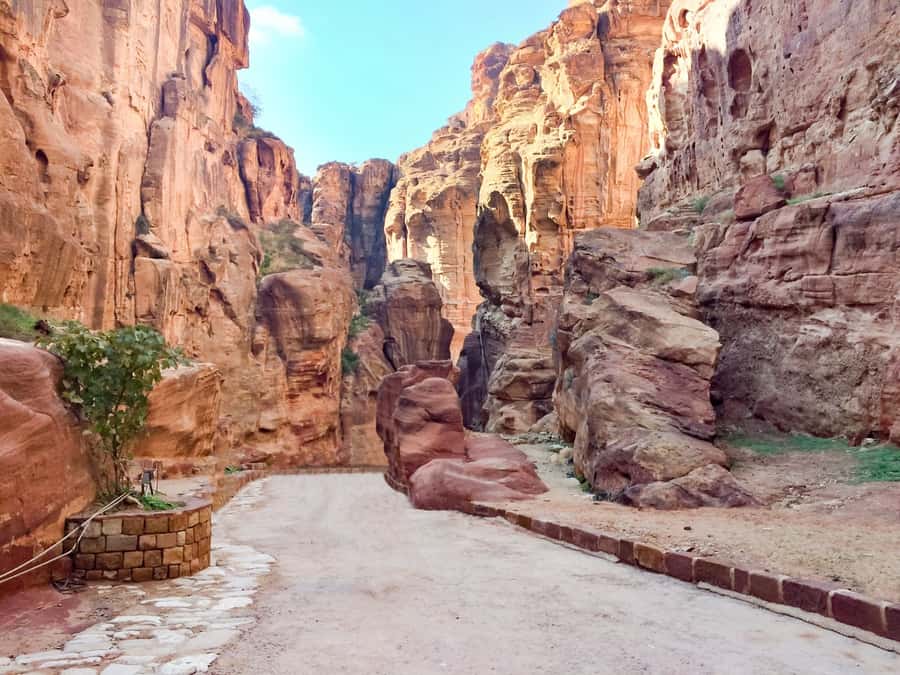 From Tel Aviv: Full-Day Trip to Petra with Roundtrip Flights - Key points to know before booking