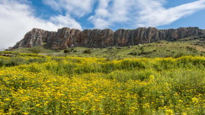 From Tel Aviv: Golan Heights Tour