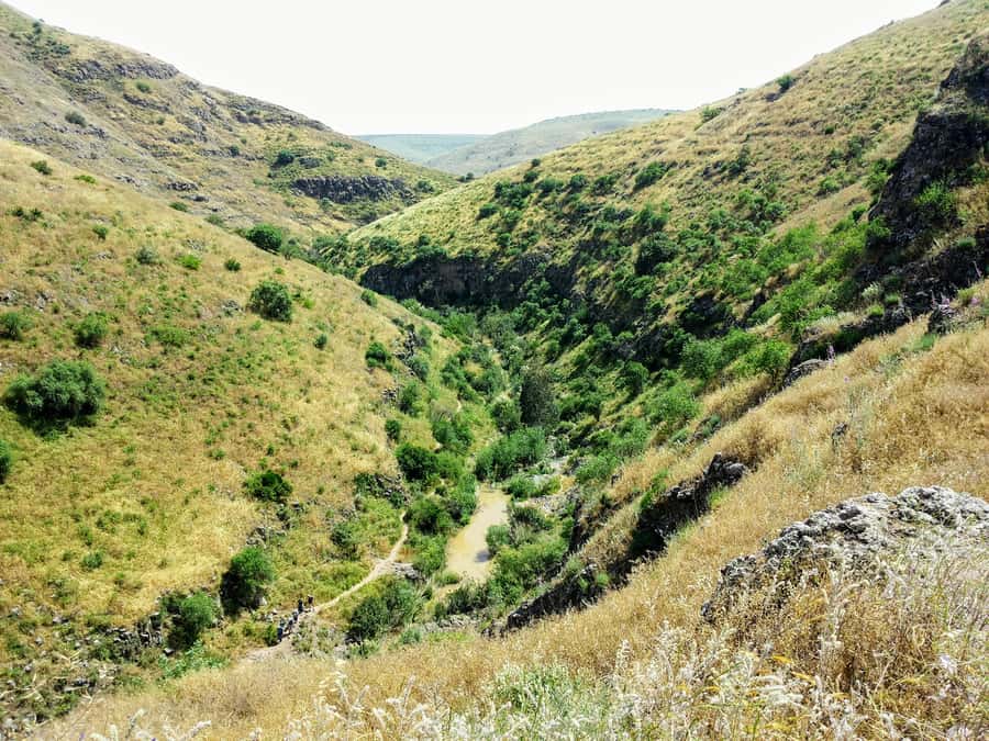 From Tel Aviv: Golan Heights Tour - Katzrin’s ancient synagogue and village from the Talmudic period