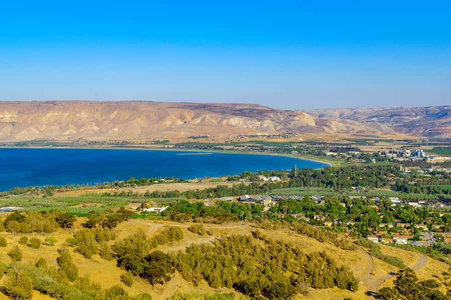 From Tel Aviv: Golan Heights Tour - The Golan Antiquities Museum and the story of Gamla