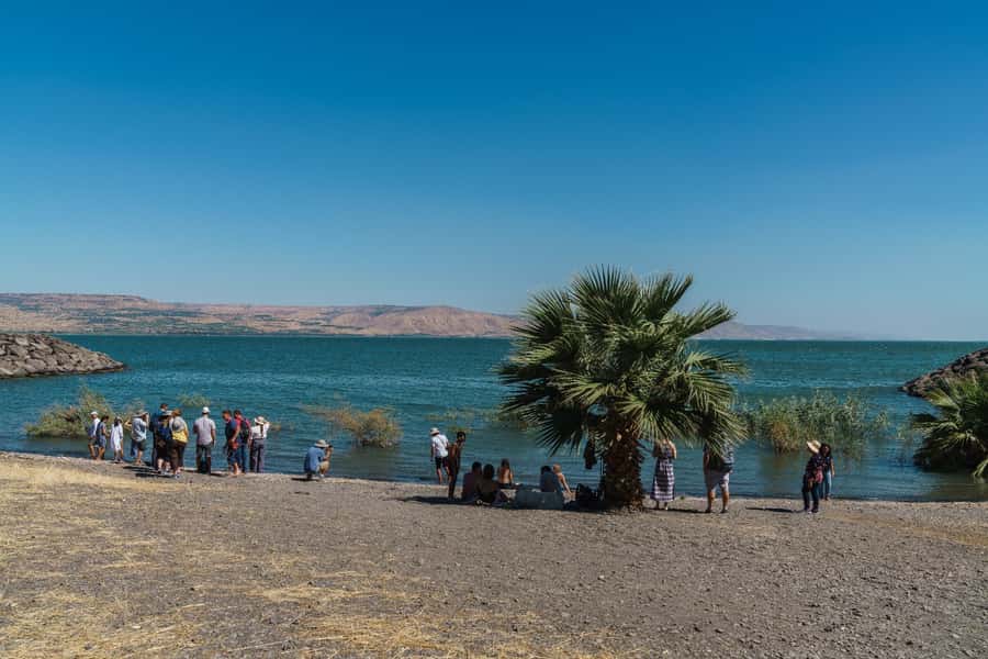 From Tel Aviv: Guided Day Trip to Nazareth & Sea of Galilee - Lunch: convenient, but check the cost