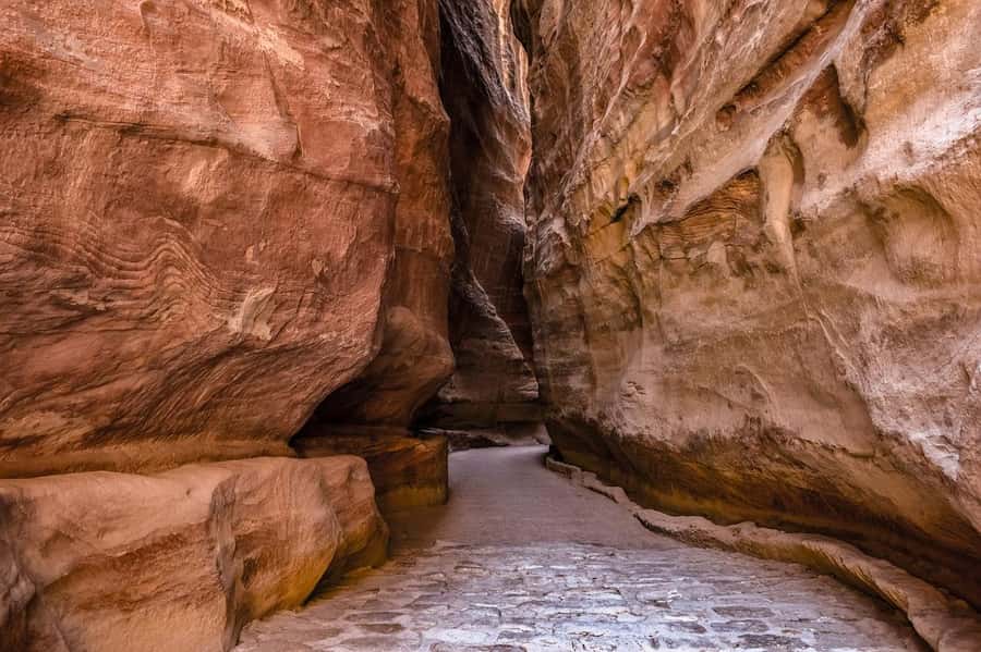 From Tel Aviv: Guided Day Trip to Petra with Lunch - Key points to know before booking