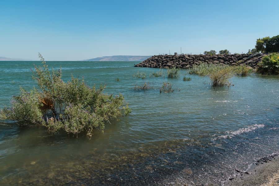 From Tel Aviv: Magdala, Mount of Beatitudes, and Cana Tour - Mount of Beatitudes and the Sermon on the Mount