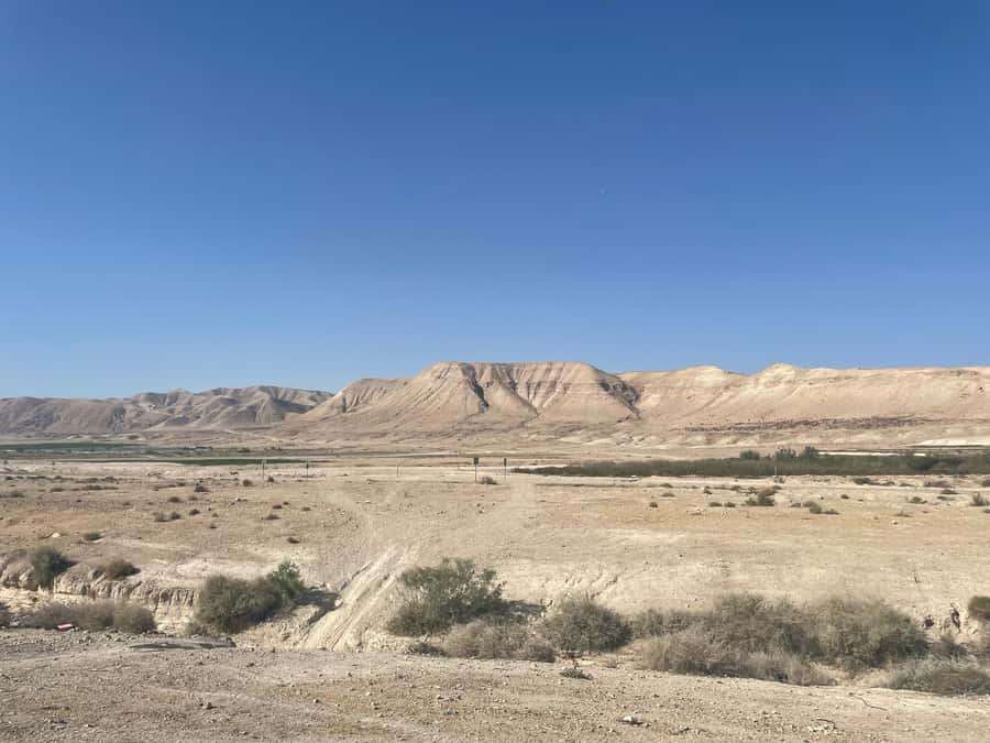 From Tel Aviv: Masada &Dead Sea Tour INCLUDING ENTRANCE FEES - Should you book it?