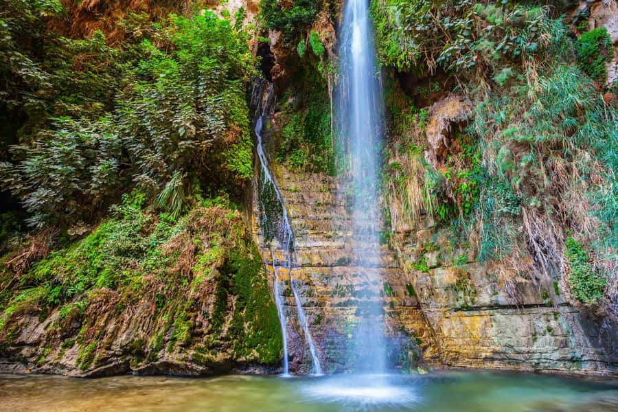 From Tel Aviv: Masada, Ein Gedi & Dead Sea Tour - What to pack for a smoother visit