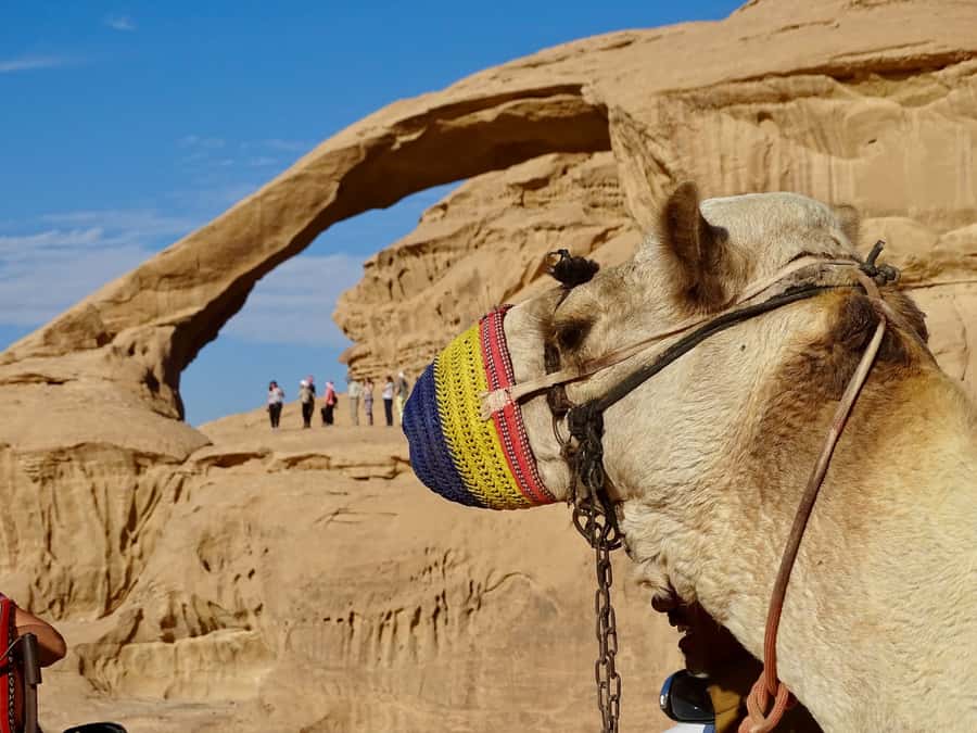 From Tel Aviv: Petra & Wadi Rum Glamping 2-Day Tour - What the $399 price really covers