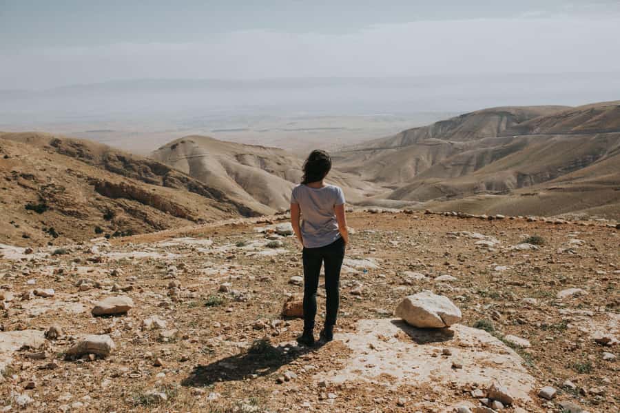 From Tel Aviv: West Bank Day Tour - Key points to know before booking