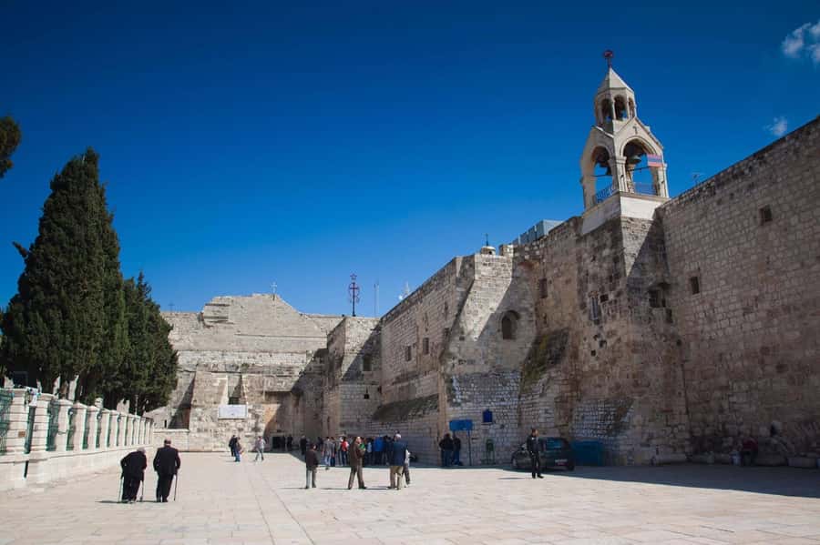 Full-Day Bethlehem and Dead Sea Relaxation Tour -small group - Banksy art beside the separation wall