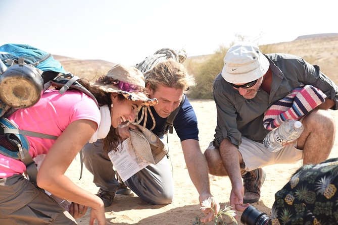 GoKedem 5-Day Private All-Inclusive Cross-Israel Adventure - Day six, Caesarea, Bauhaus Tel Aviv, and Jaffa