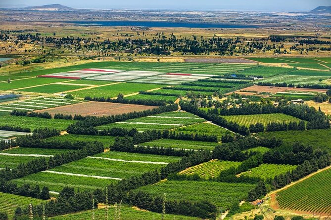 Golan Heights Day Trip from Jerusalem - Mount Bental and the Quneitra Valley