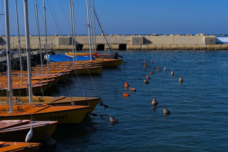 Jaffa: Old City, Port & Shuk Hapishpishim Walking Tour - Practical details that affect the experience