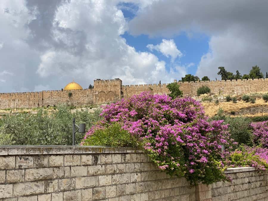 Jerusalem: 3–Hour Old City Tour in French - Walking the Roman Cardo with Hadrian