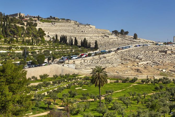 Jerusalem Half-Day Tour from Tel Aviv: Holy Sepulchre and Western Wall - The Muslim Quarter and the final walk