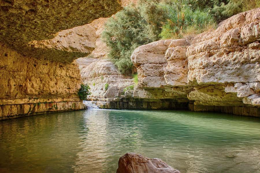Jerusalem: Masada, Ein Gedi & Dead Sea Tour - The Dead Sea is the grand finale, with a resort-sized caveat