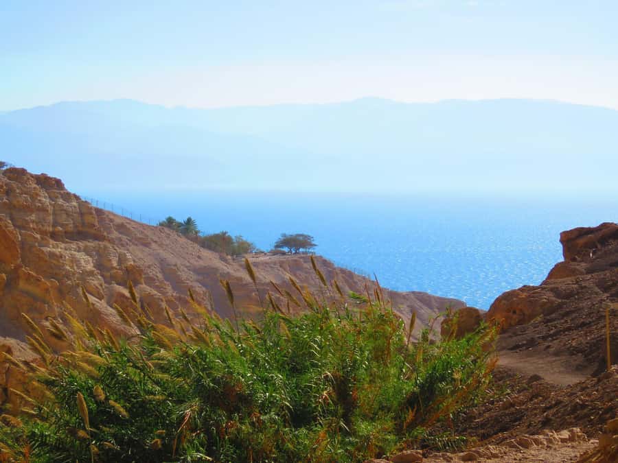 Jerusalem: Masada, Ein Gedi & Dead Sea Tour - The guide matters more than the bus